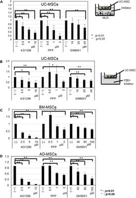 Superior migration ability of umbilical cord-derived mesenchymal stromal cells (MSCs) toward activated lymphocytes in comparison with those of bone marrow and adipose-derived MSCs